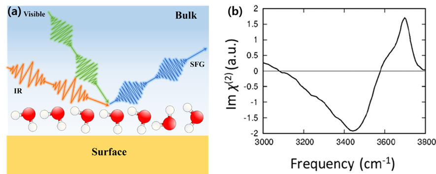 Schematic of SFG spectrum analysis and (b) the example of the SFG spectrum of the interfacial water
